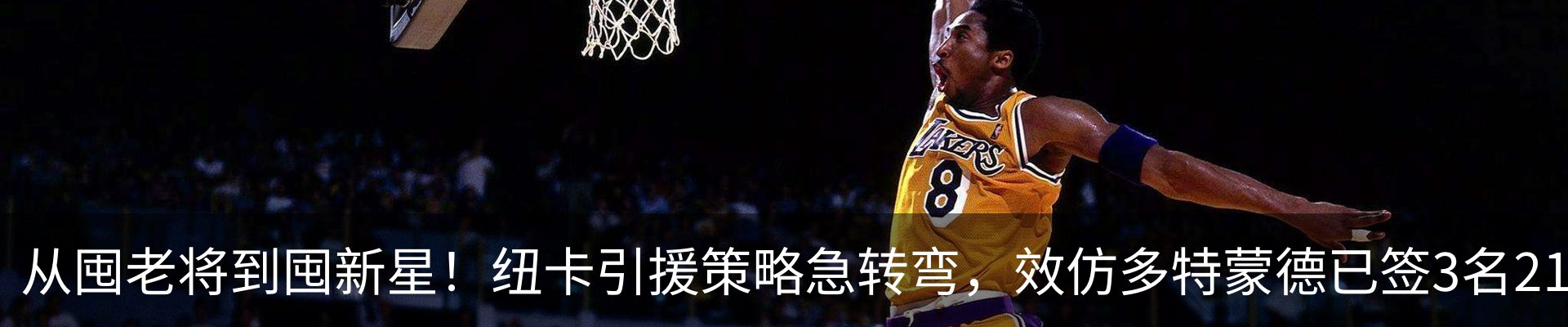 新闻动态