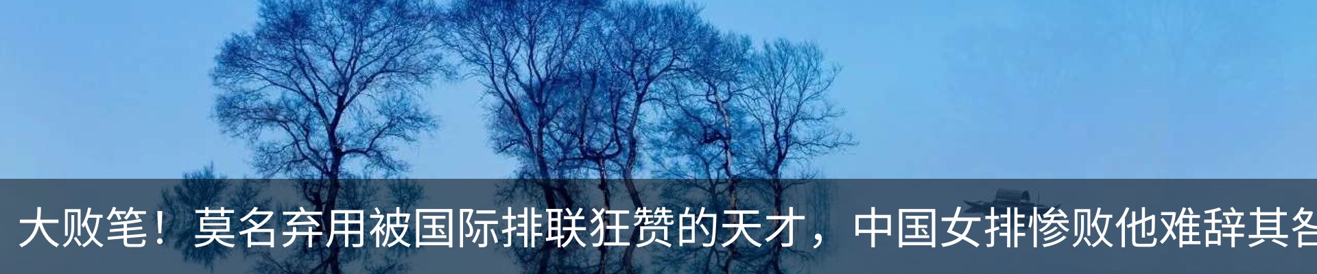 新闻动态