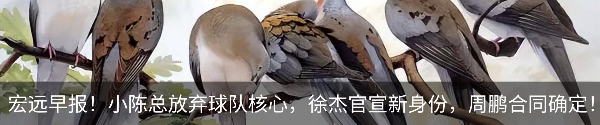 新闻动态