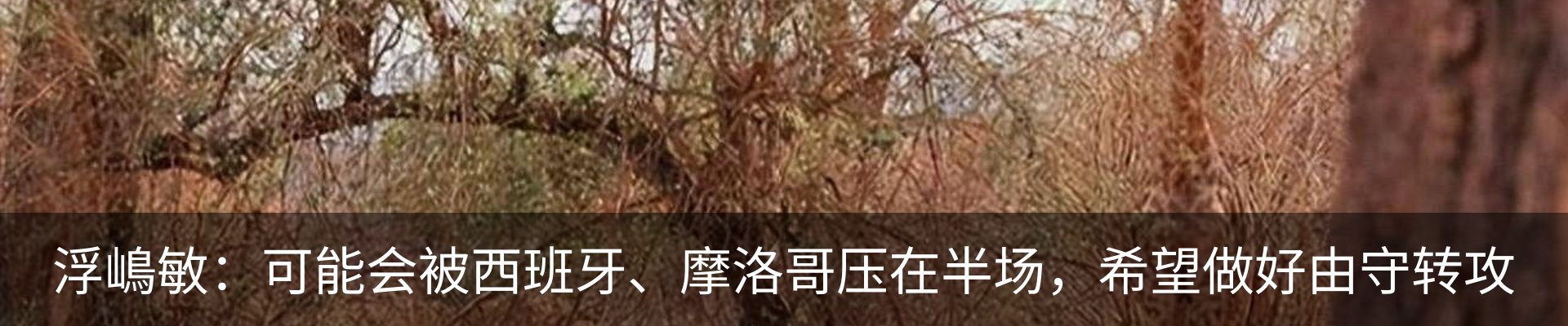 新闻动态