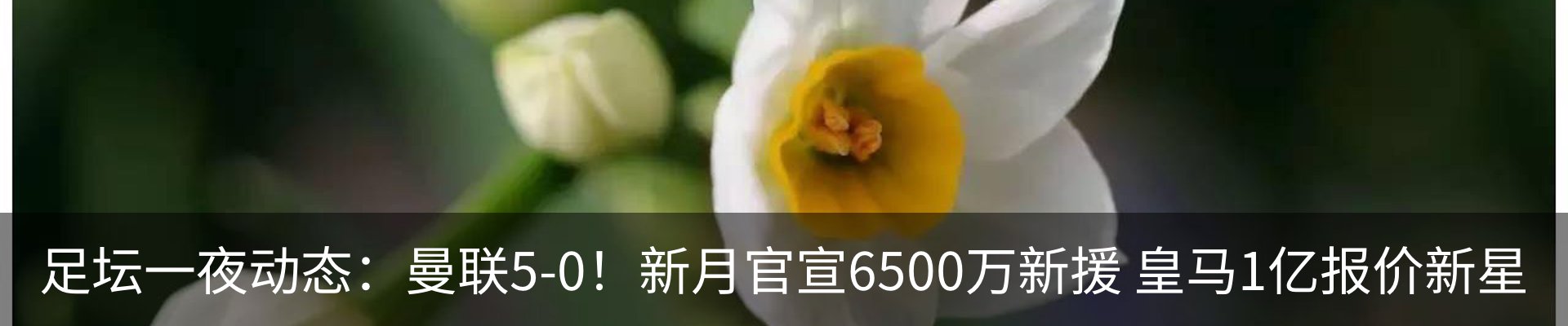 新闻动态