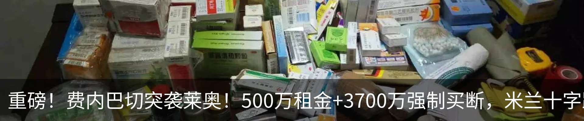 新闻动态